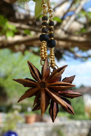 Boucles d’oreille anis étoilé & perles de coco